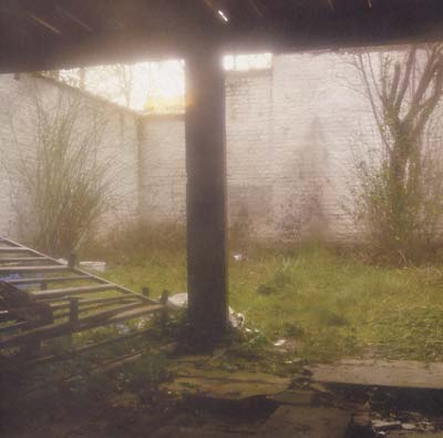 SHKVAL - Slow Death Process | Vinyl