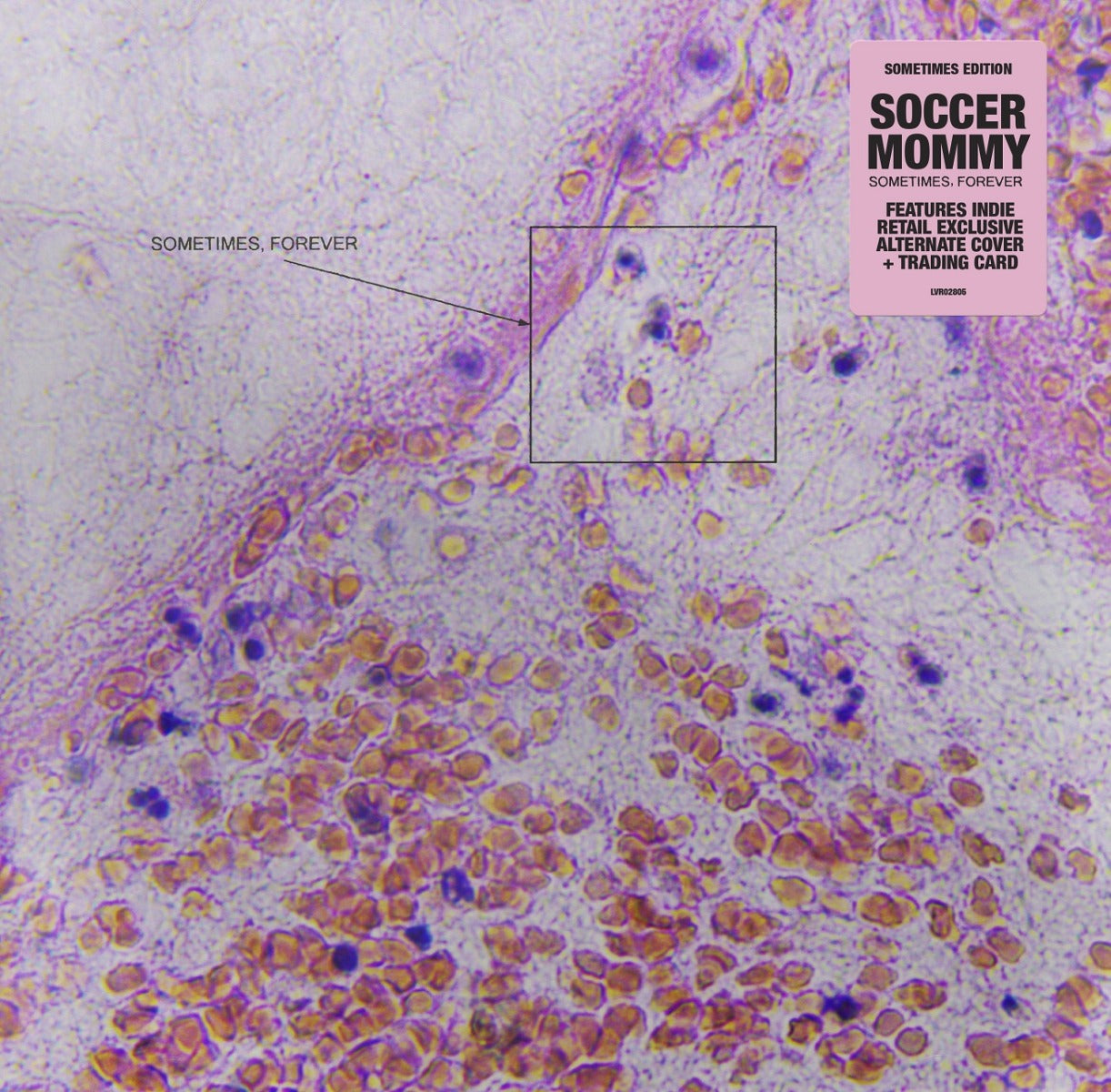 Soccer Mommy - Sometimes, Forever (Indie Exclusive, Alternate Cover) | CD