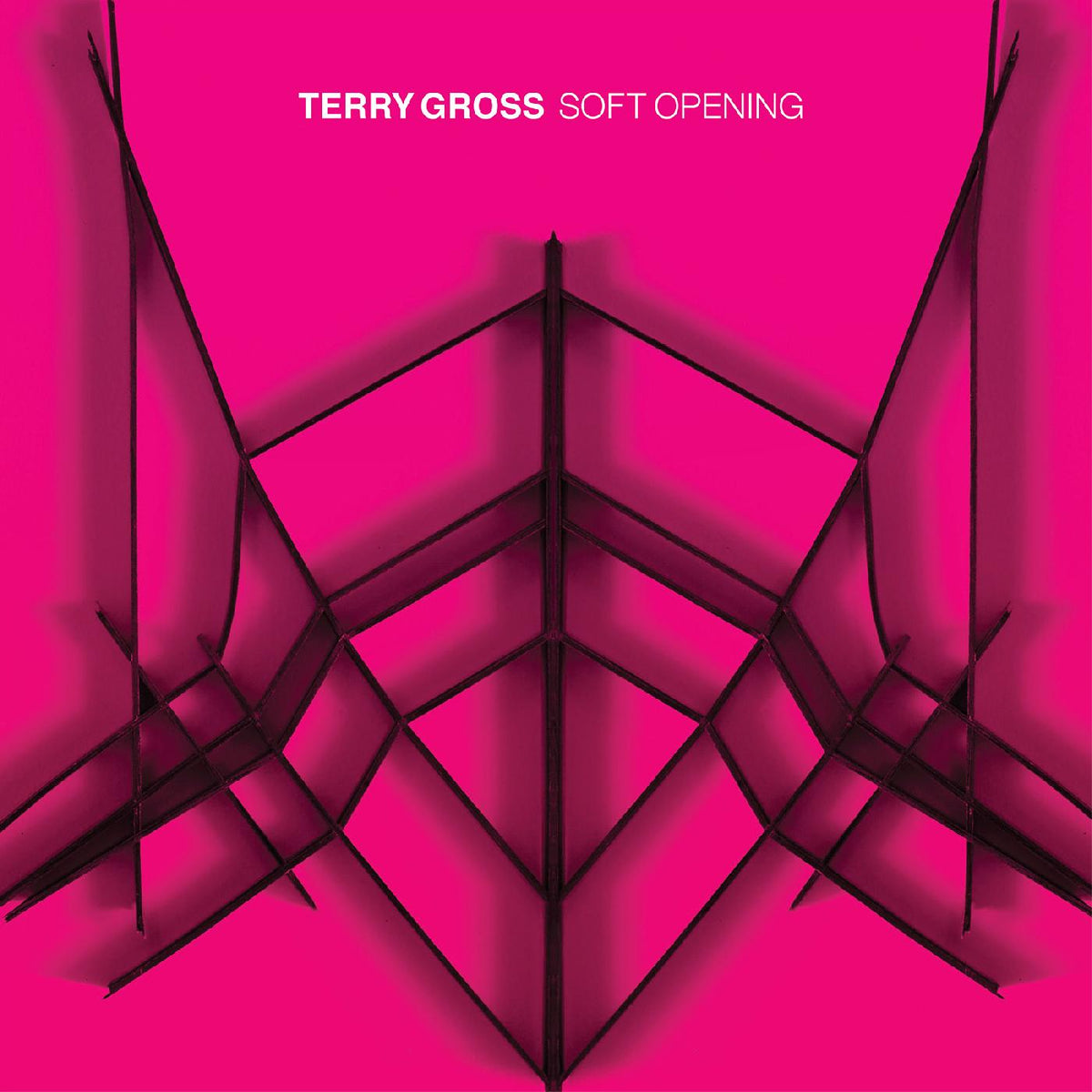 Terry Gross - Soft Opening (TRANSLUCENT BLUE VINYL) | Vinyl