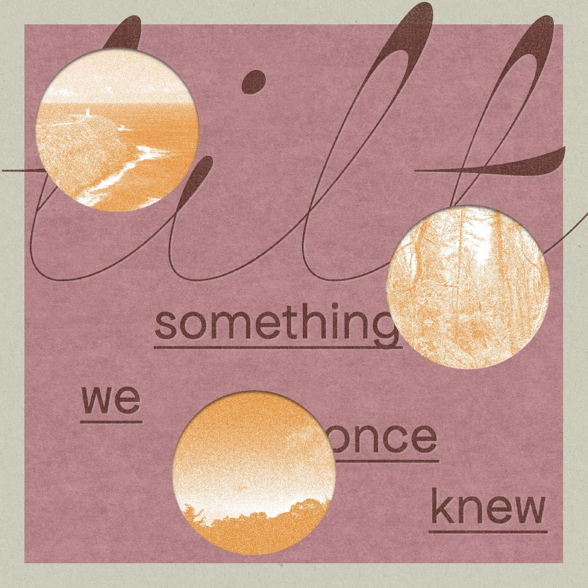 Tilt - something we once knew | Vinyl