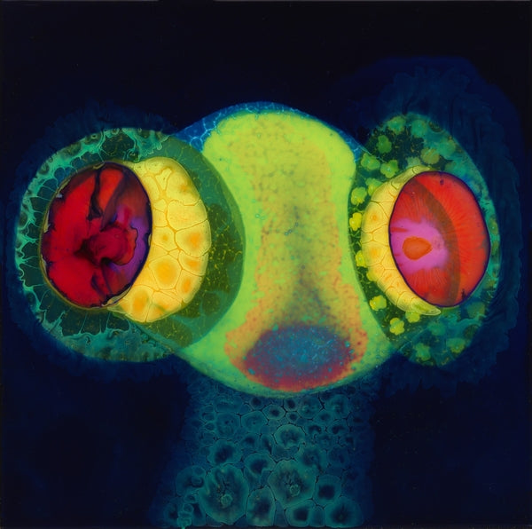 OSEES | SORCS 80 | CD