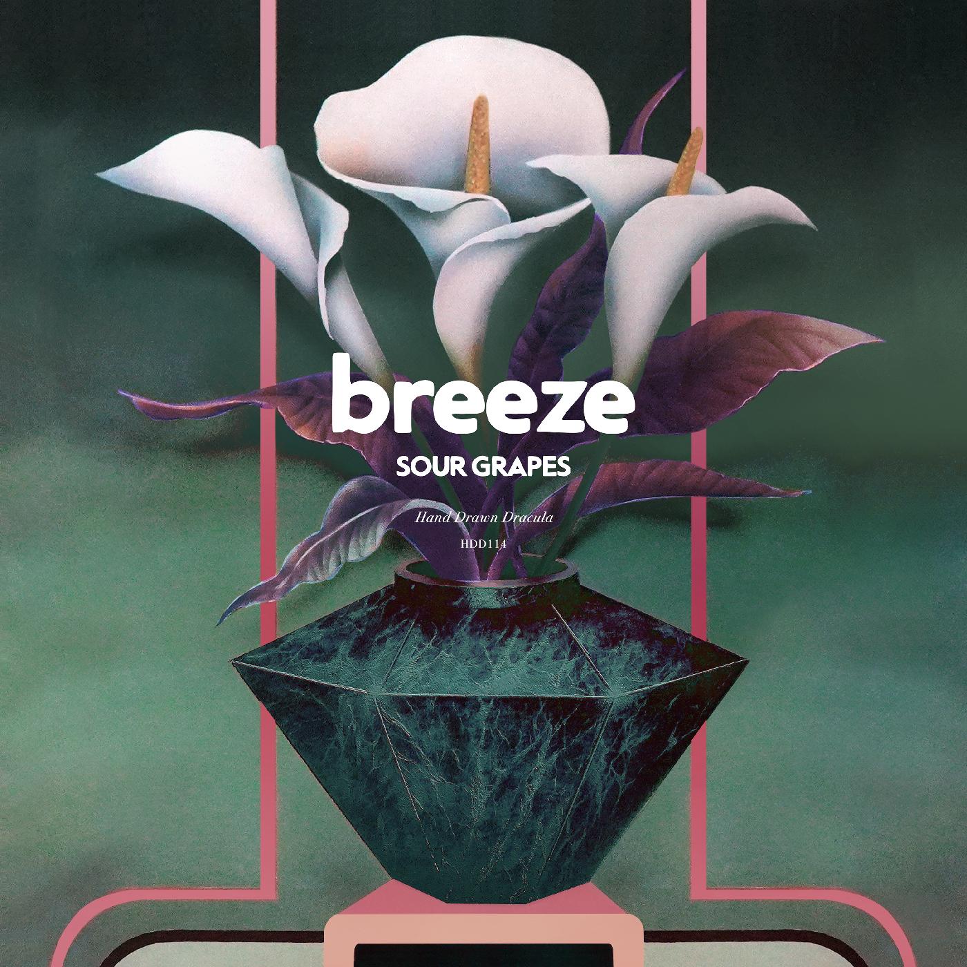 Breeze - Sour Grapes (CRUSHED GRAPE VINYL) | Vinyl