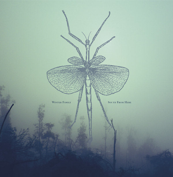 WINTER FAMILY - South From Here | Vinyl