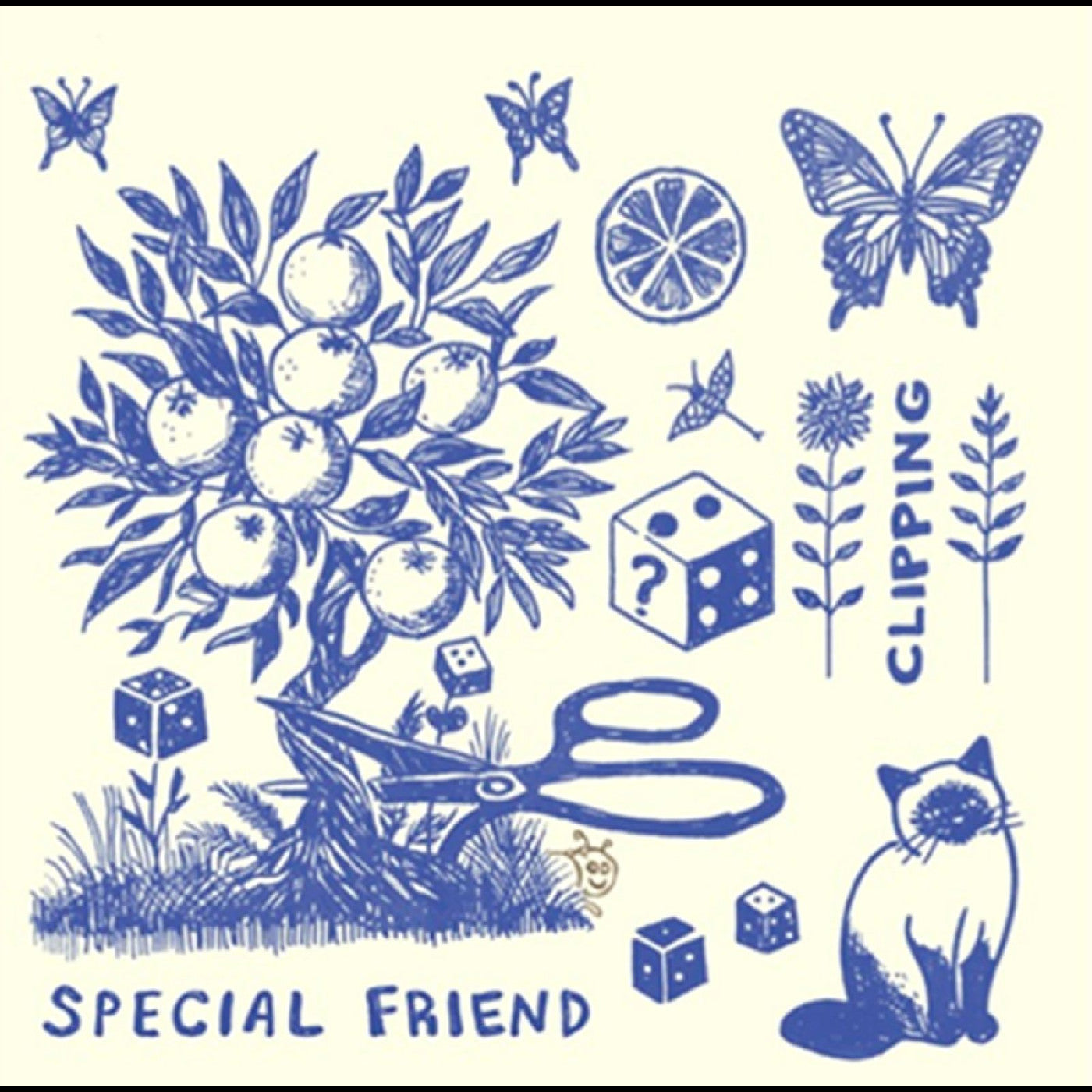 Special Friend - Clipping | Vinyl