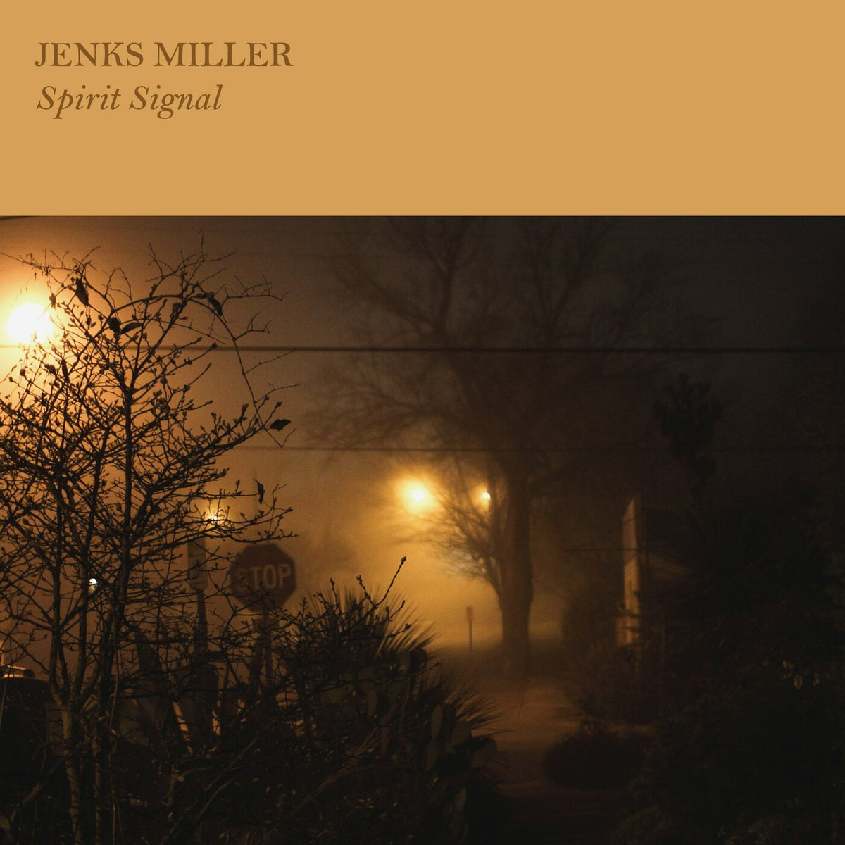 Jenks Miller - Spirit Signal | Vinyl