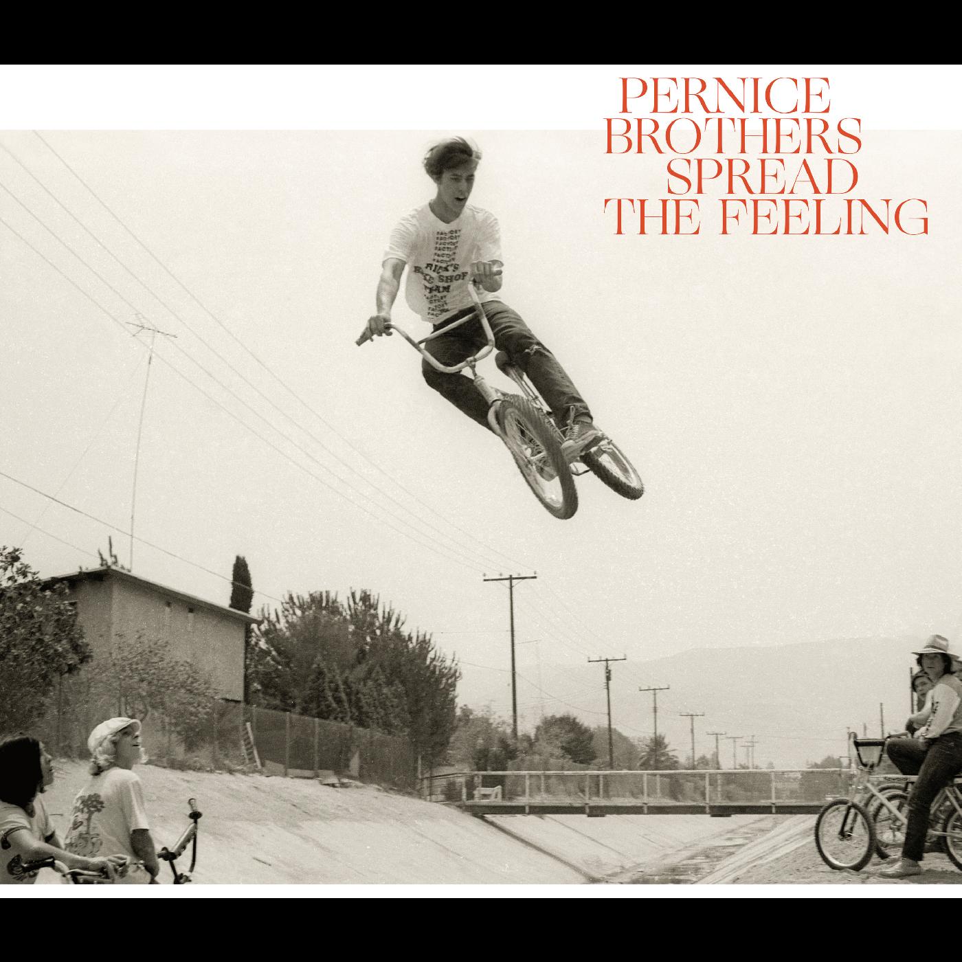 Pernice Brothers - Spread The Feeling | CD