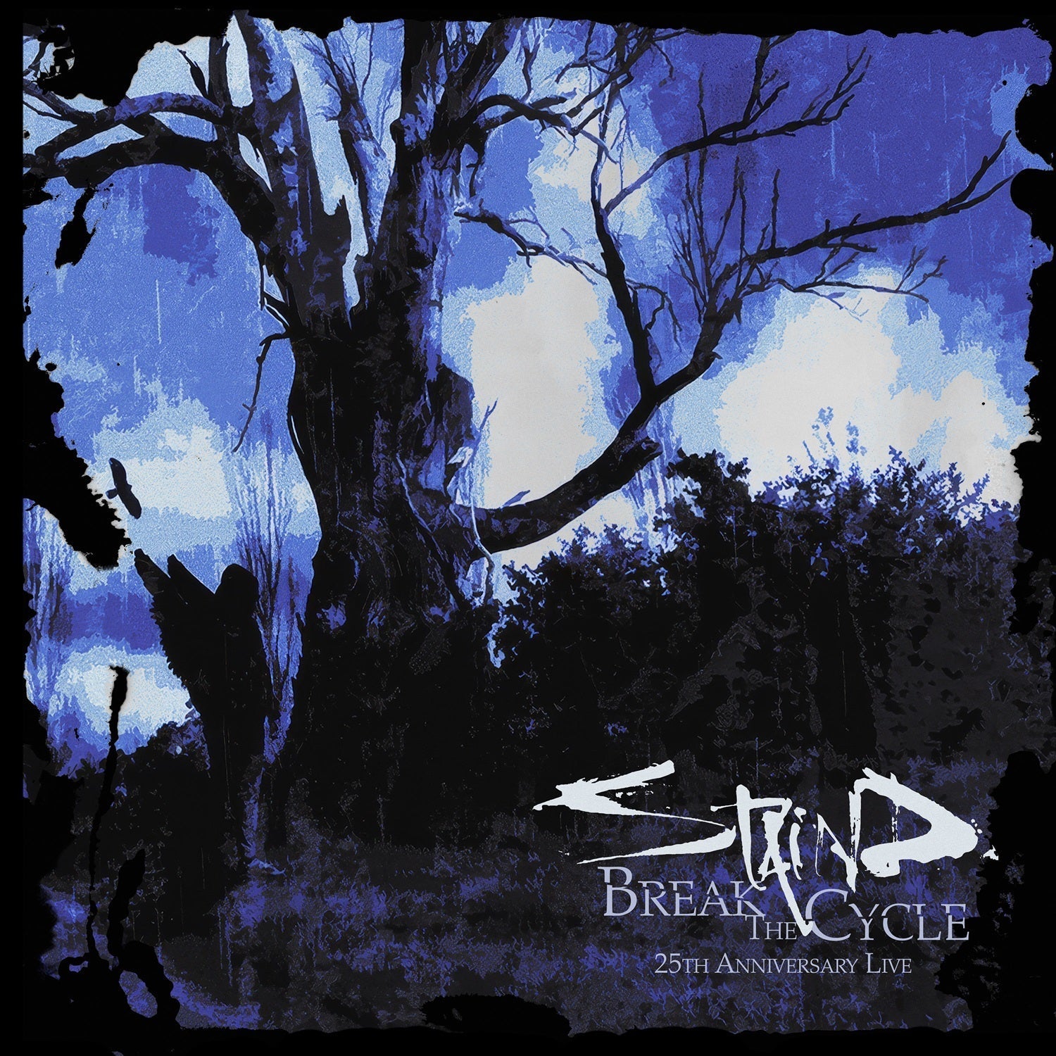 Staind - Break The Cycle (25Th Anniversary Live) | CD