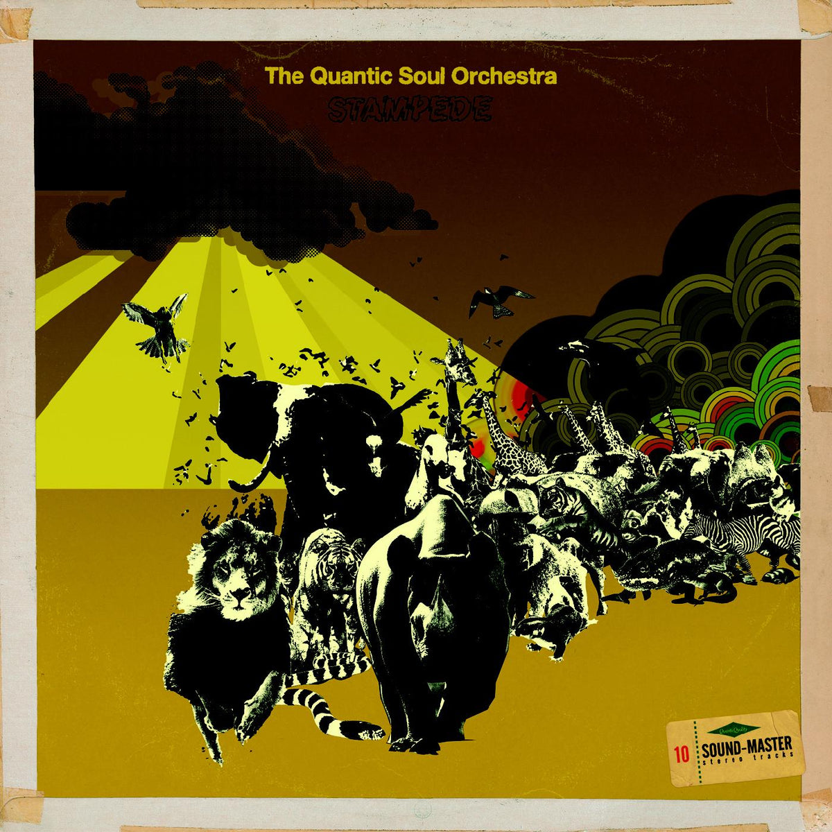 The Quantic Soul Orchestra - Stampede | Vinyl