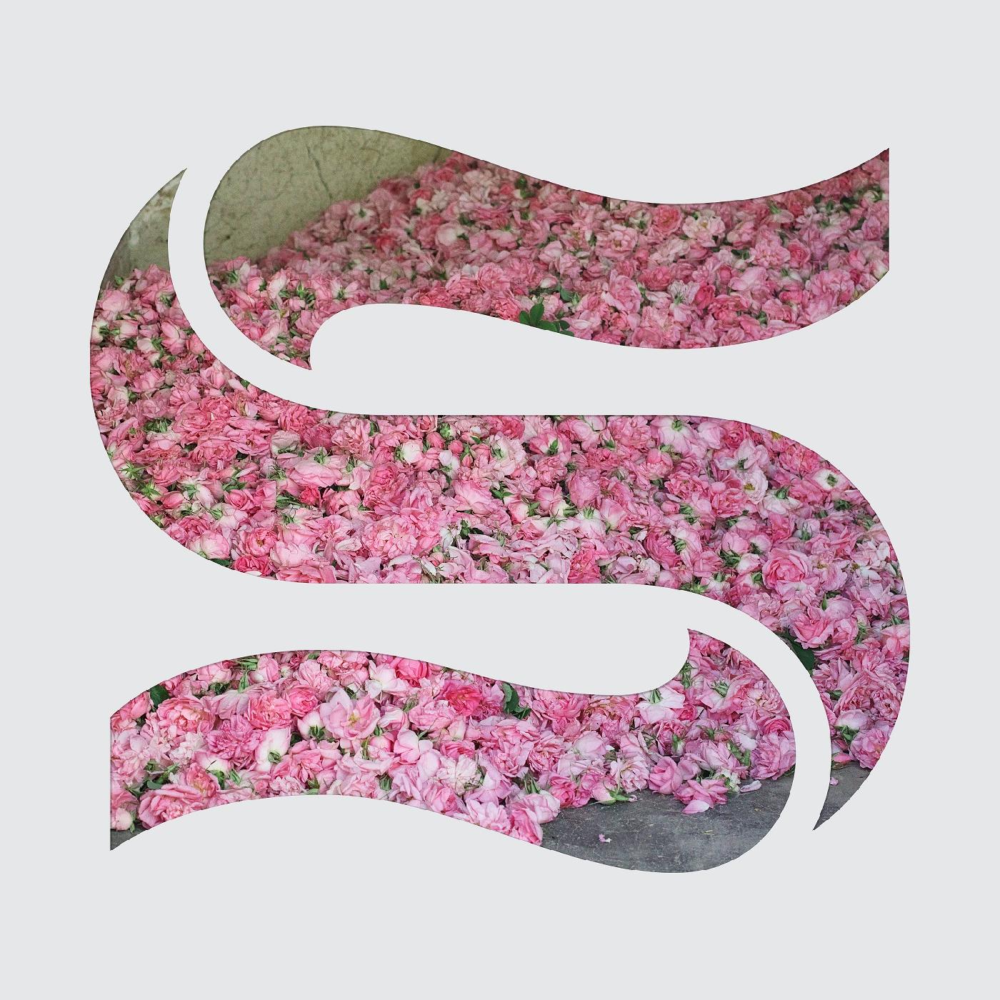 Braxe + Falcon - Step By Step EP | Vinyl