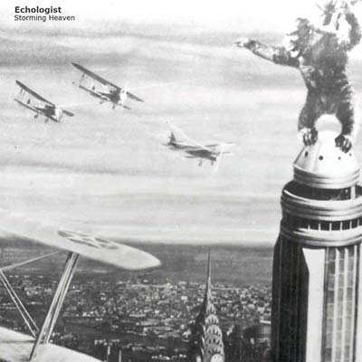 ECHOLOGIST - Storming Heaven | Vinyl