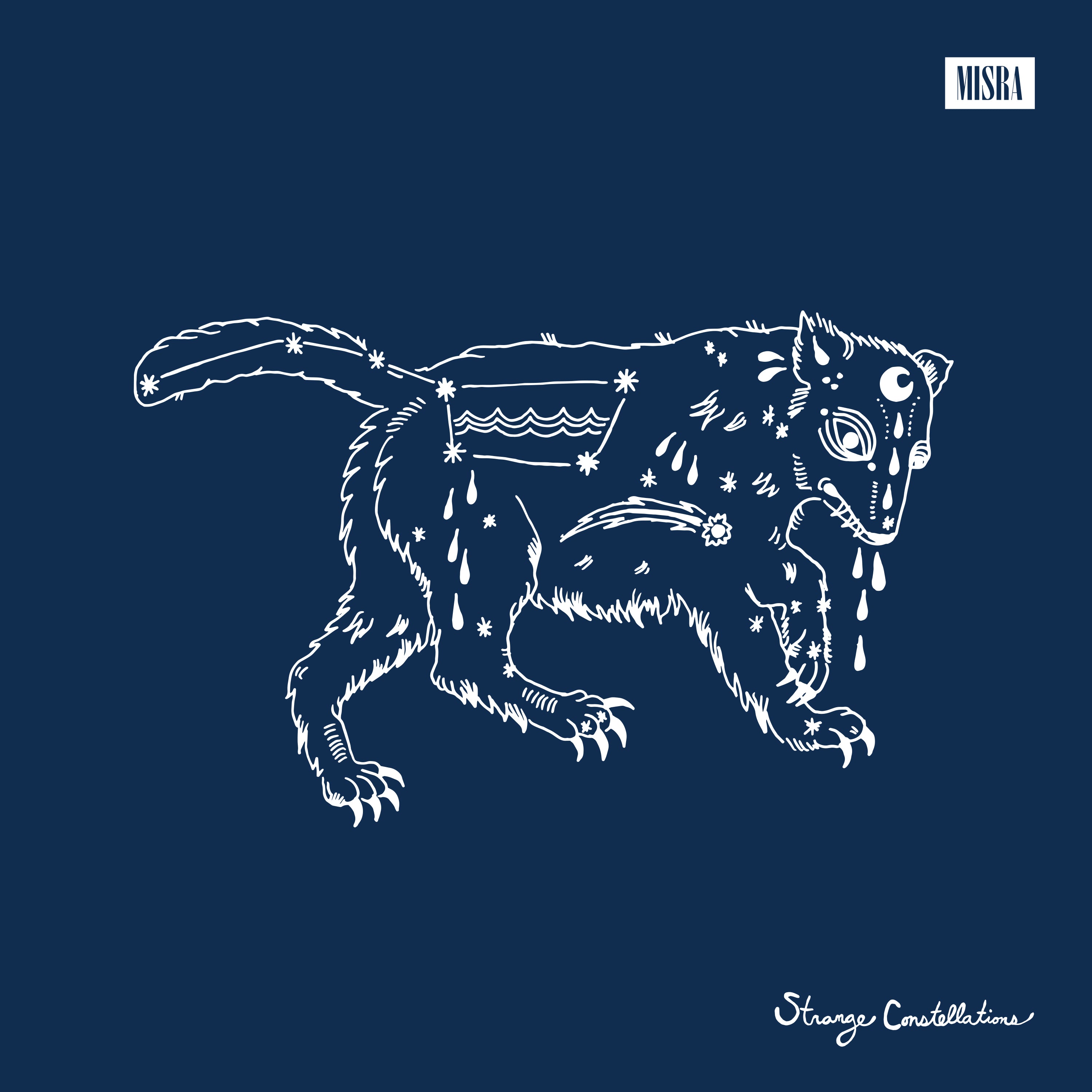 William Matheny - Strange Constellations | CD