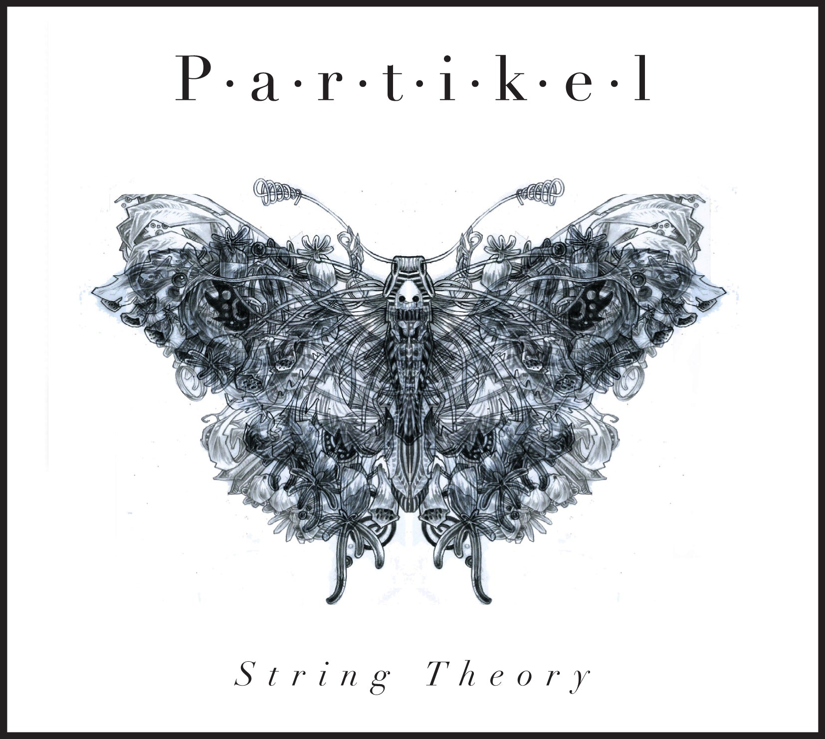 Partikel - String Theory | CD