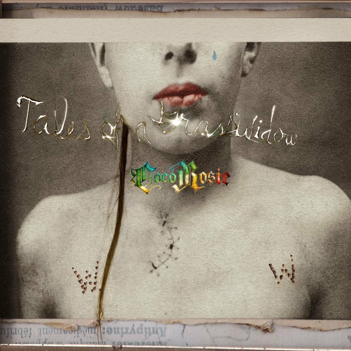 CocoRosie - Tales Of A GrassWidow | Vinyl