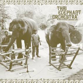 Thai Elephant Orchestra - Thai Elephant Orchestra | Vinyl