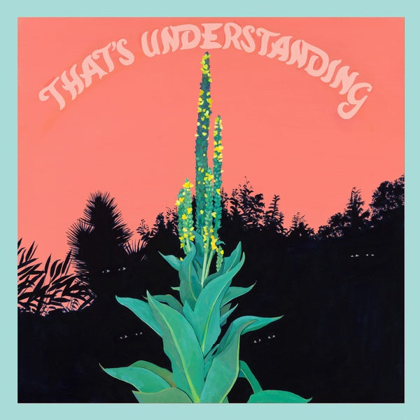 VILLAGE OF SPACES - That's Understanding | CD