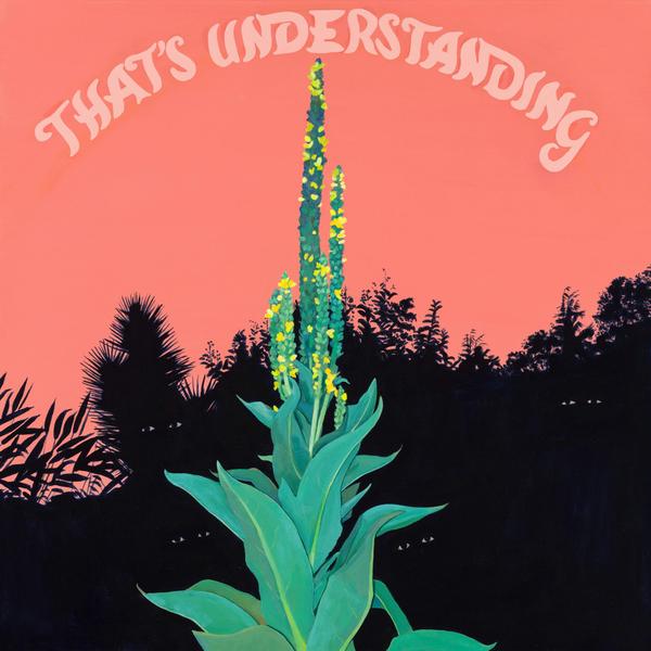 VILLAGE OF SPACES - That's Understanding | Vinyl