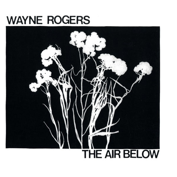 WAYNE ROGERS - The Air Below | Vinyl
