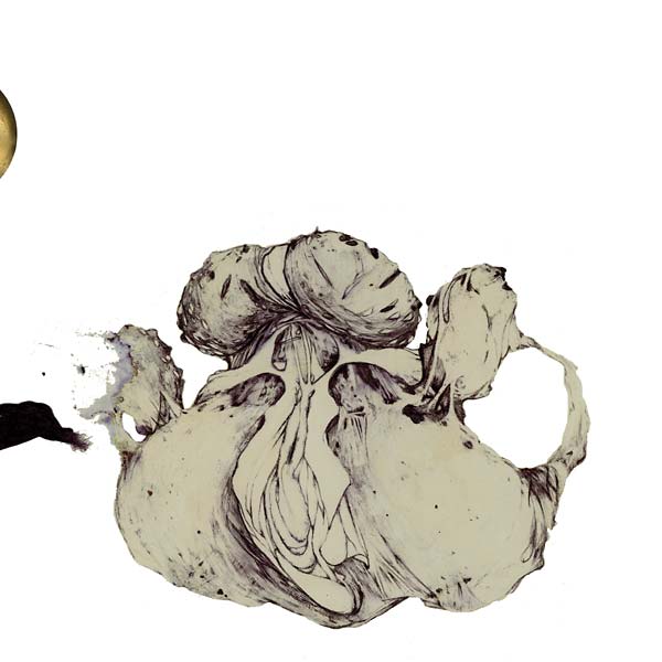 COIL - The Ape Of Naples | Vinyl