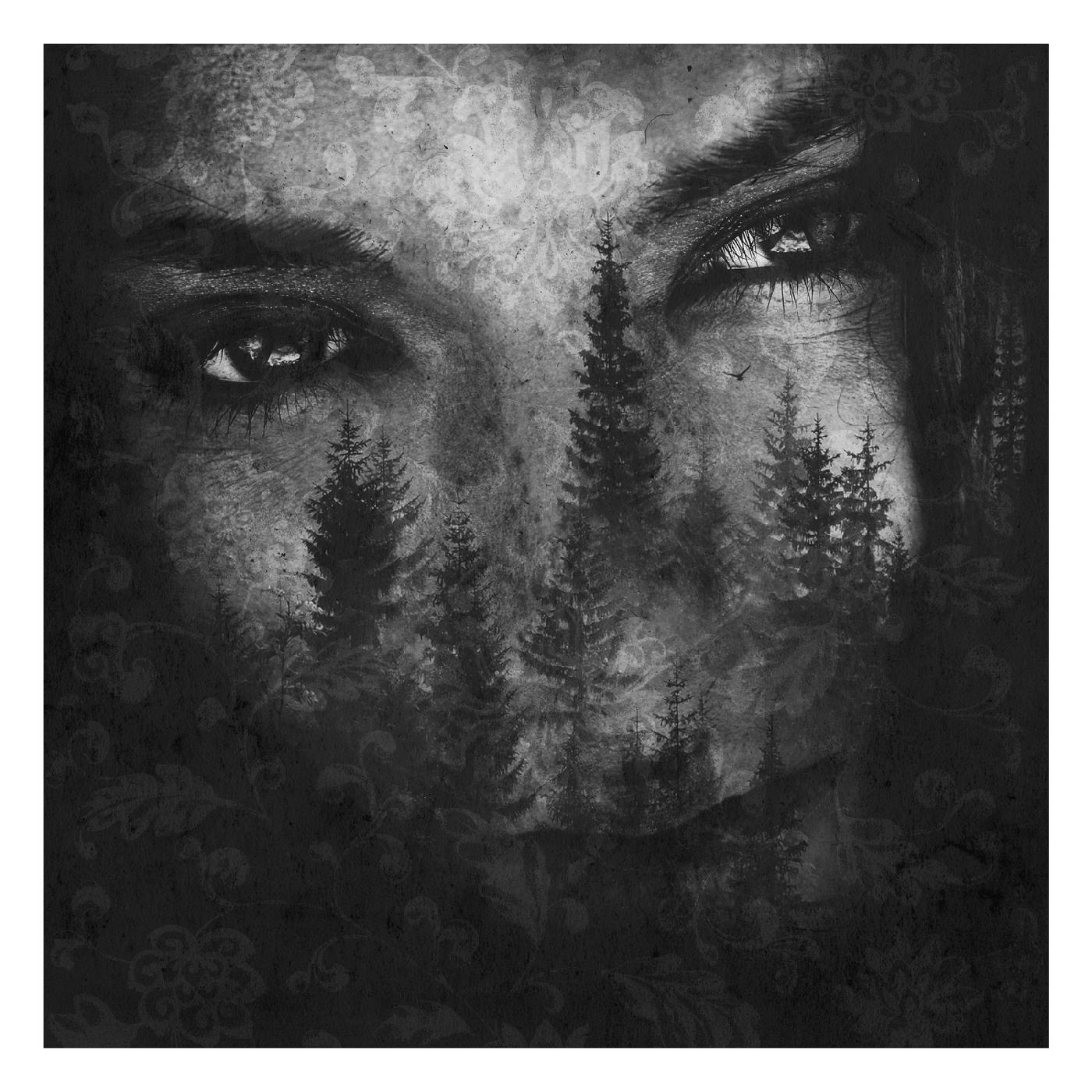 Lustre - The Ashes of Light | CD