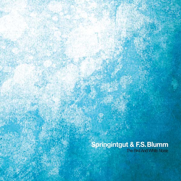 SPRINGINTGUT & F.S. BLUMM - The Bird and White Noise | Vinyl