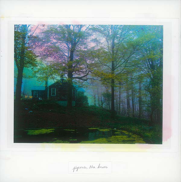 PIGEONS - The Bower | Vinyl