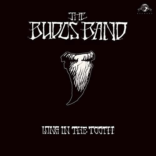 The Budos Band - Long In The Tooth (Digital Download Card) | Vinyl