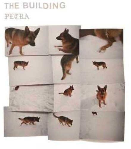 The Building - Petra | Vinyl