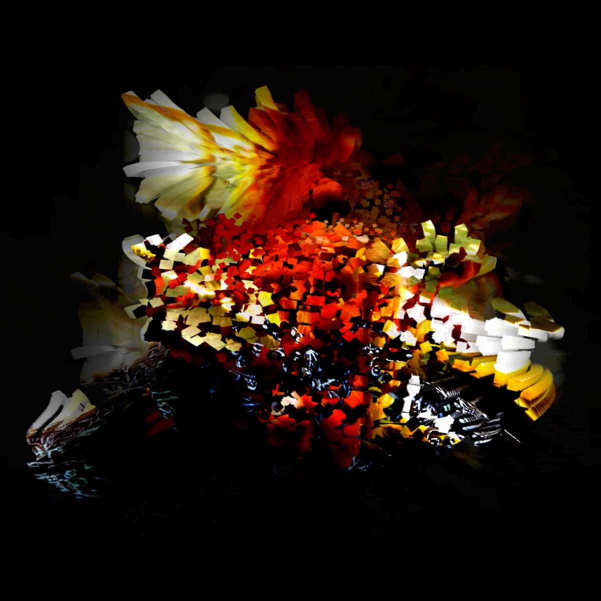 Bogus Order - The Bullnose Step EP | Vinyl