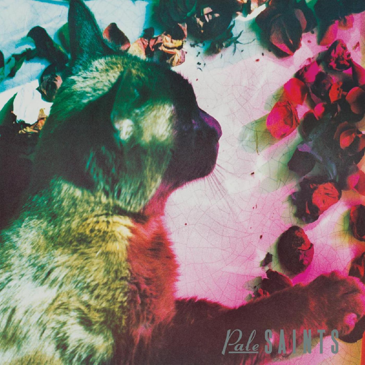 Pale Saints - The Comforts of Madness (30th Anniversary Reissue) | CD