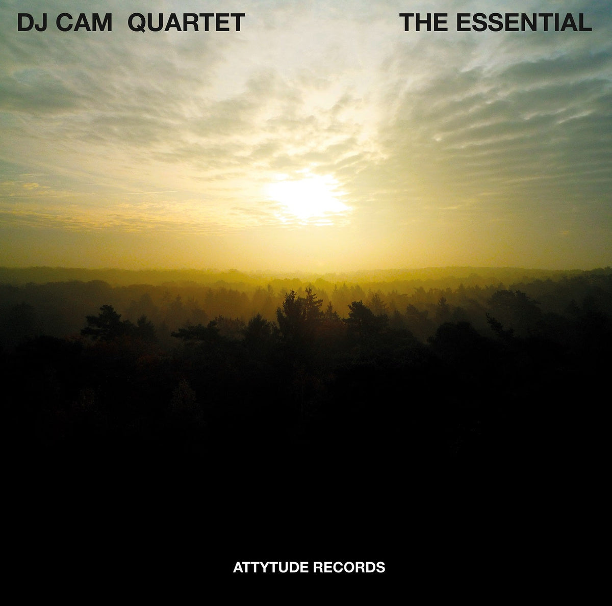 DJ Cam Quartet - The Essential | Vinyl