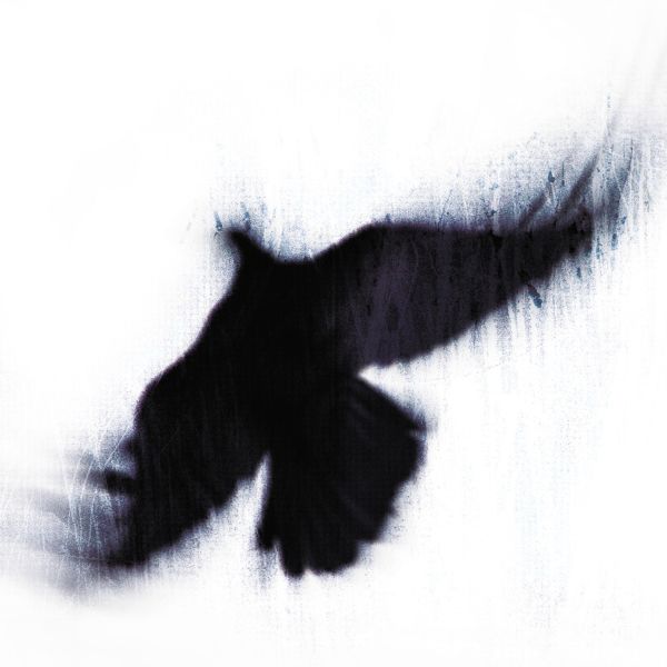 Blueneck - The Fallen Host | CD