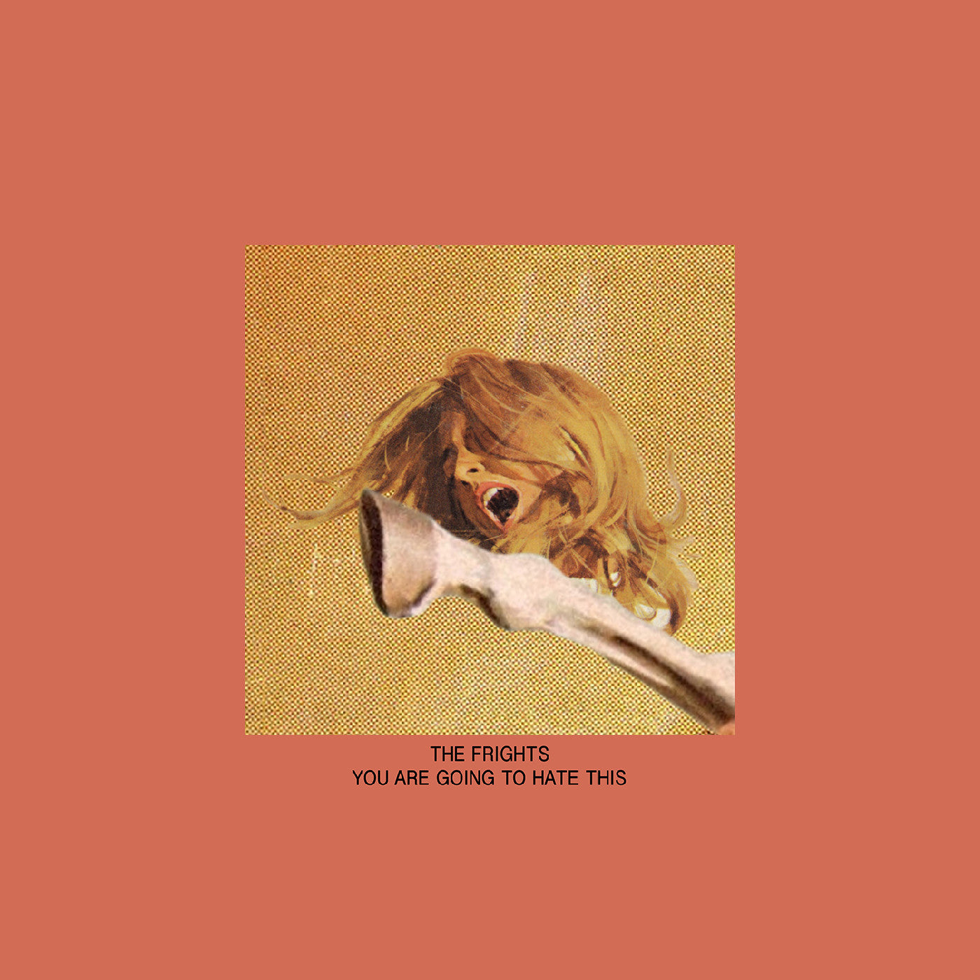 The Frights - You Are Going To Hate This | Vinyl