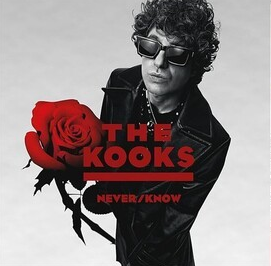 The Kooks - Never/ Know | Vinyl