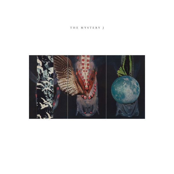 JOE MCPHEE, JEN CLARE PAULSON, BRIAN LABYCZ - The Mystery J | Vinyl