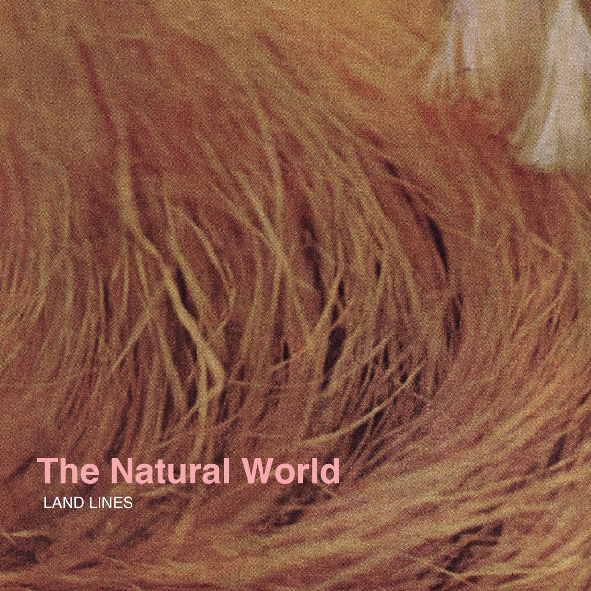 Land Lines - The Natural World | CD