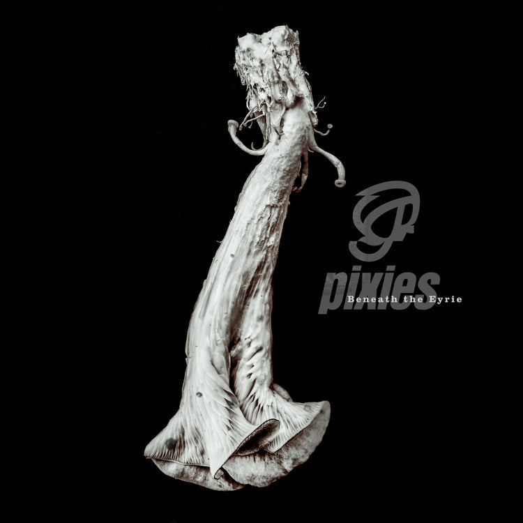 The Pixies - Beneath The Eyrie | Vinyl