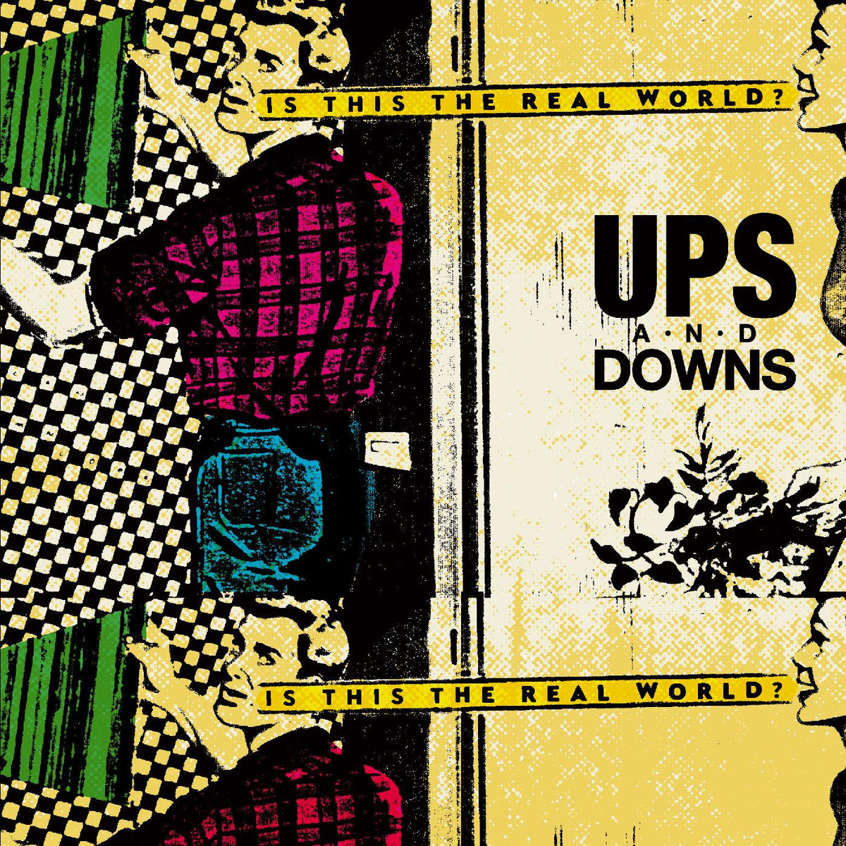 Ups and Downs - The Real World | Vinyl