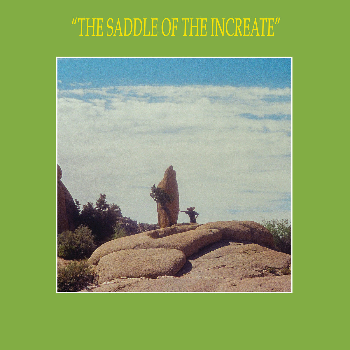 Sun Araw - The Saddle of the Increate | Vinyl
