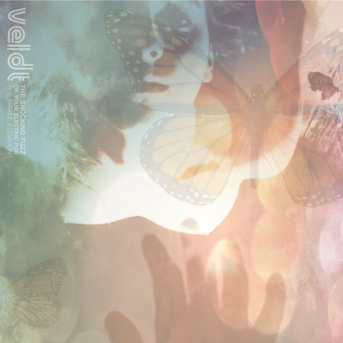The Veldt - The Shocking Fuzz of Your Electric Fur: The Drake Equation EP | Vinyl