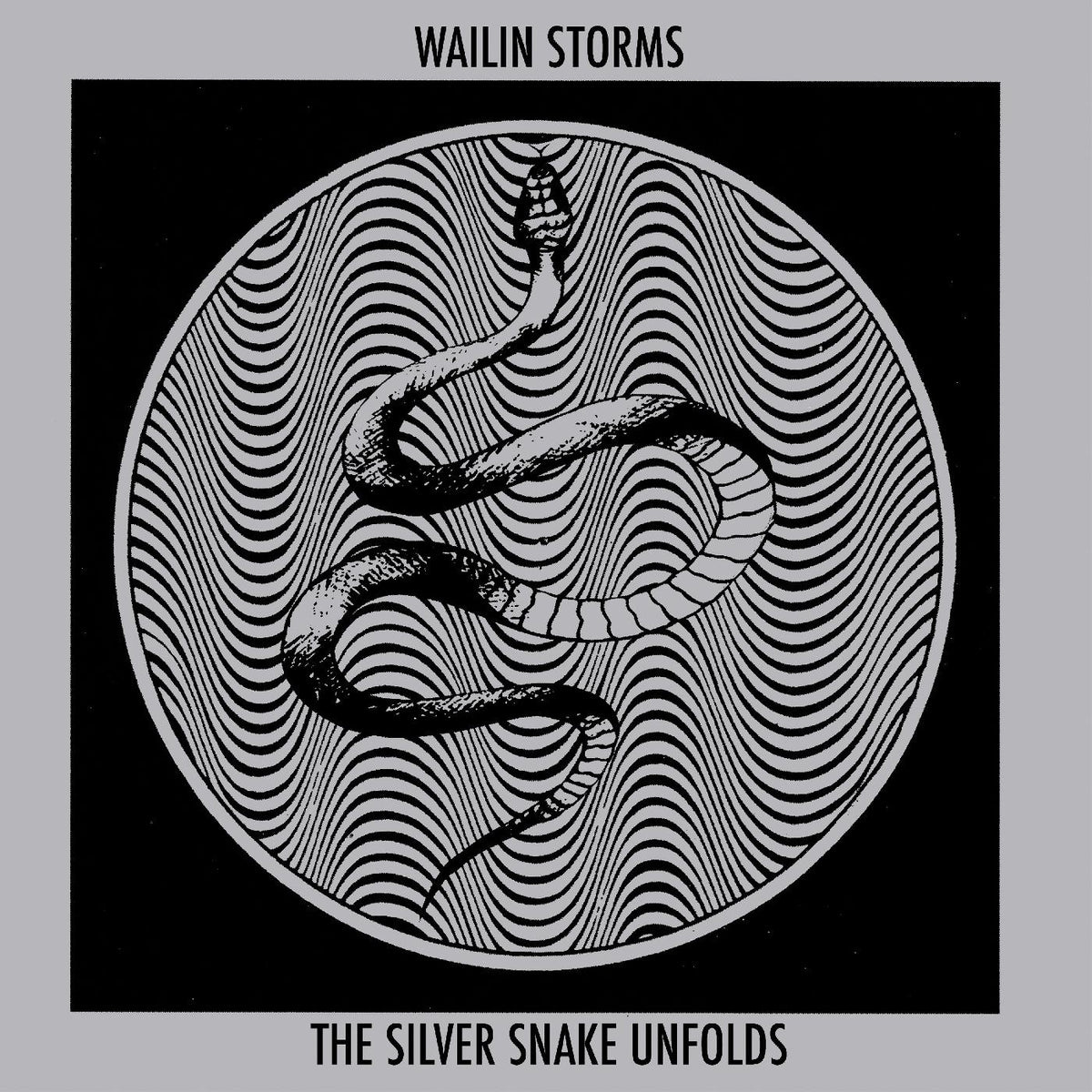 Wailin Storms - The Silver Snake Unfolds | CD