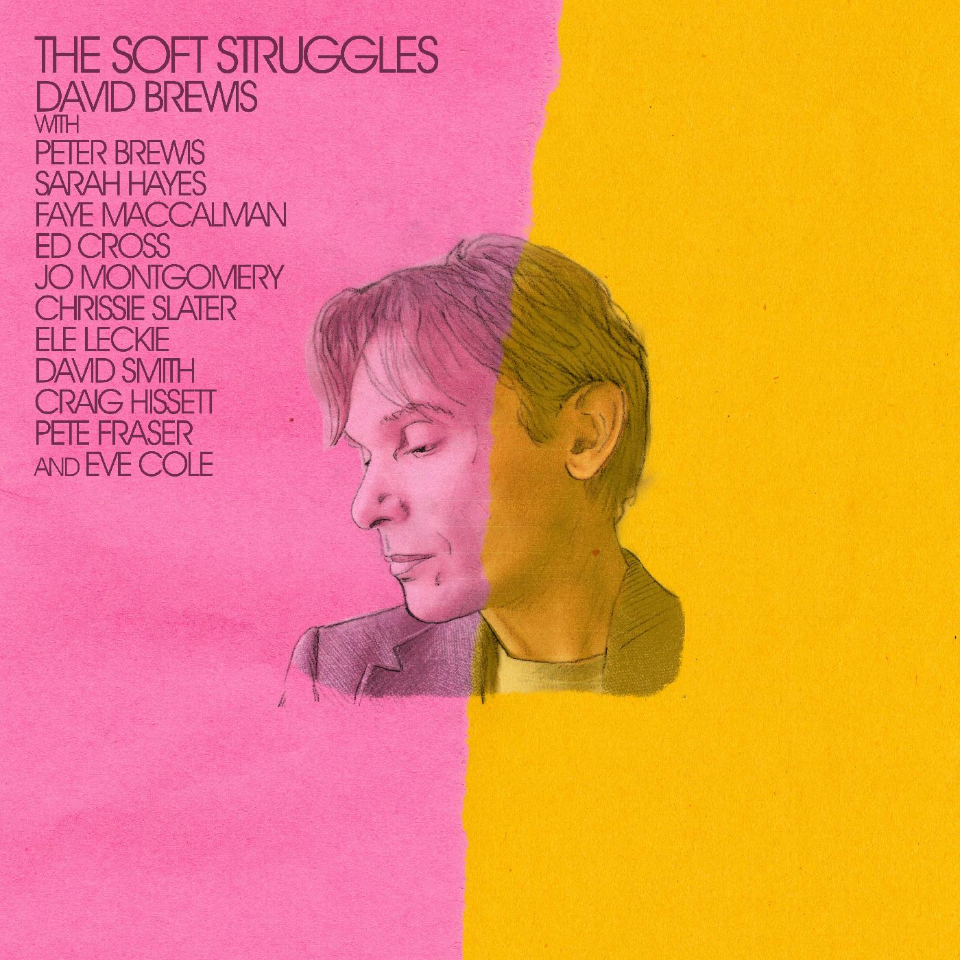 David Brewis - The Soft Struggles | Vinyl