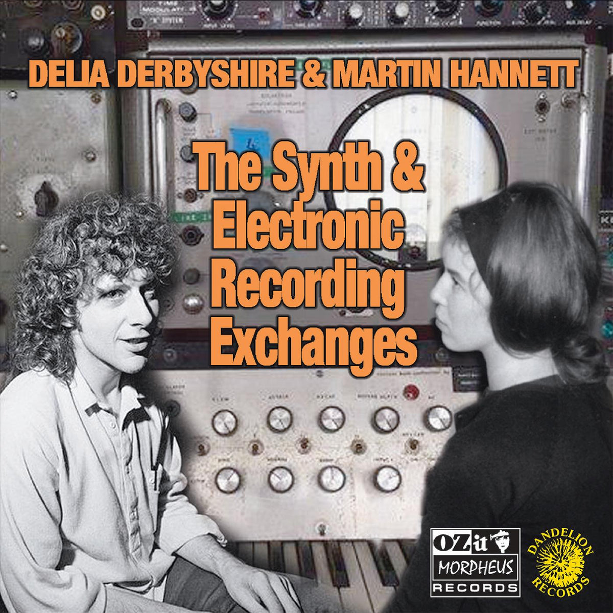 Delia & Martin Hannett Derbyshire - The Synth And Electronic Recording Exchanges | Vinyl