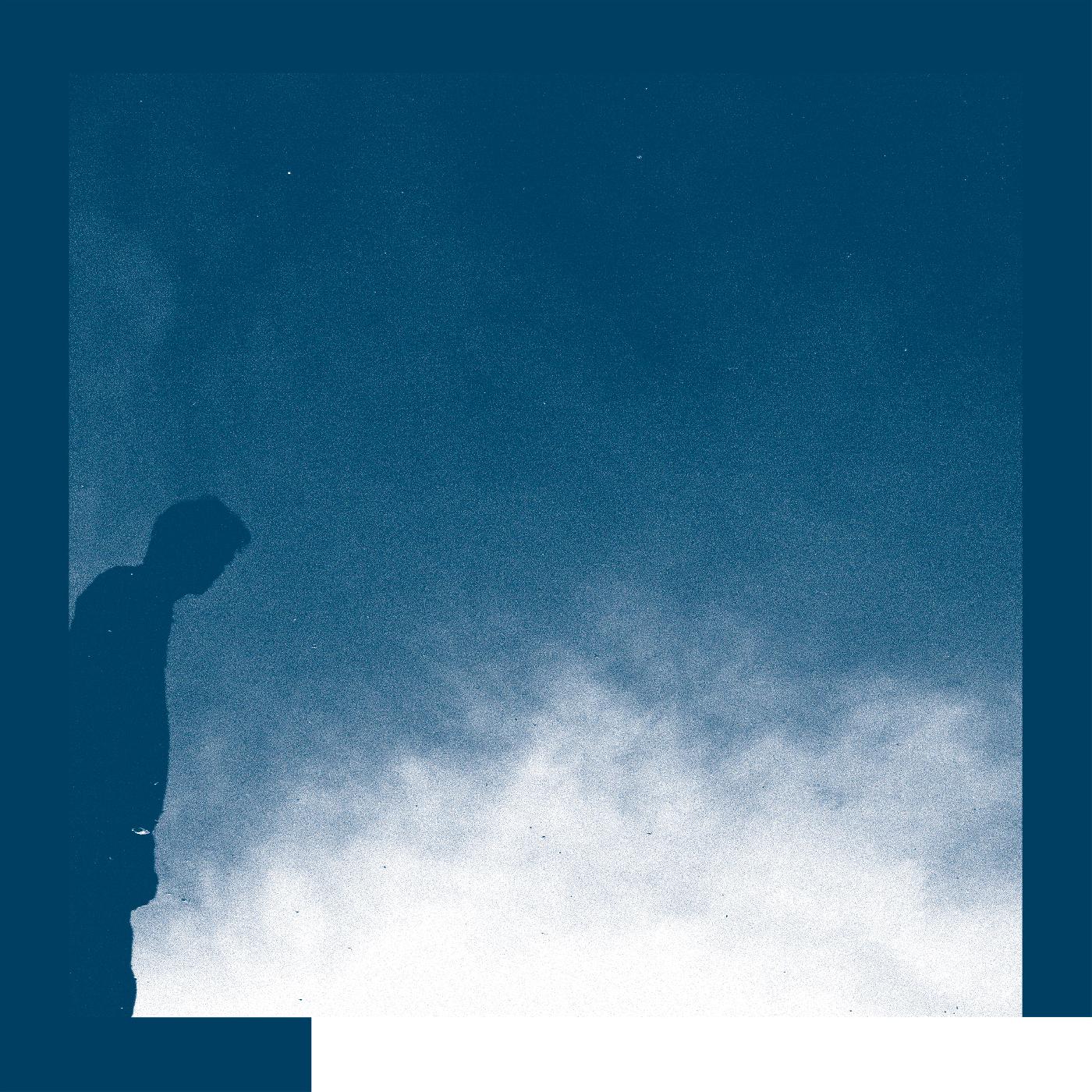 David Allred - The Transition | CD