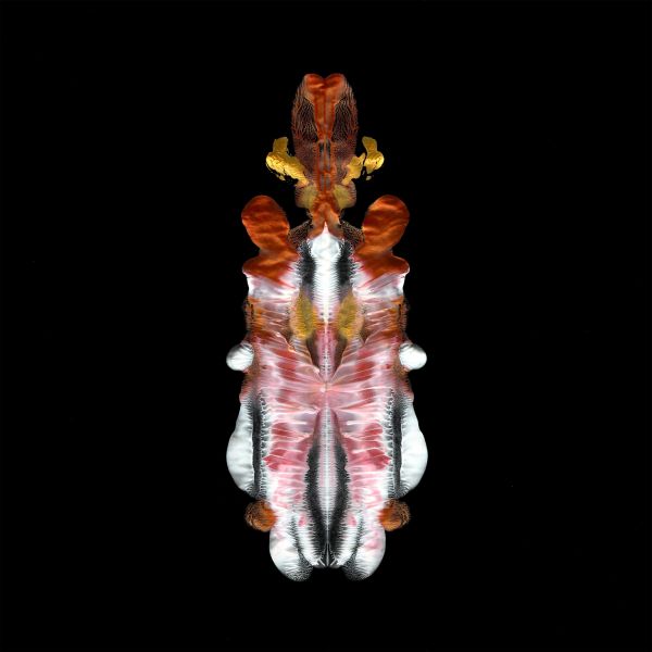Scraps Of Tape - The Will To Burn | Vinyl