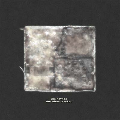 JIM HAYNES - The Wires Cracked | Vinyl