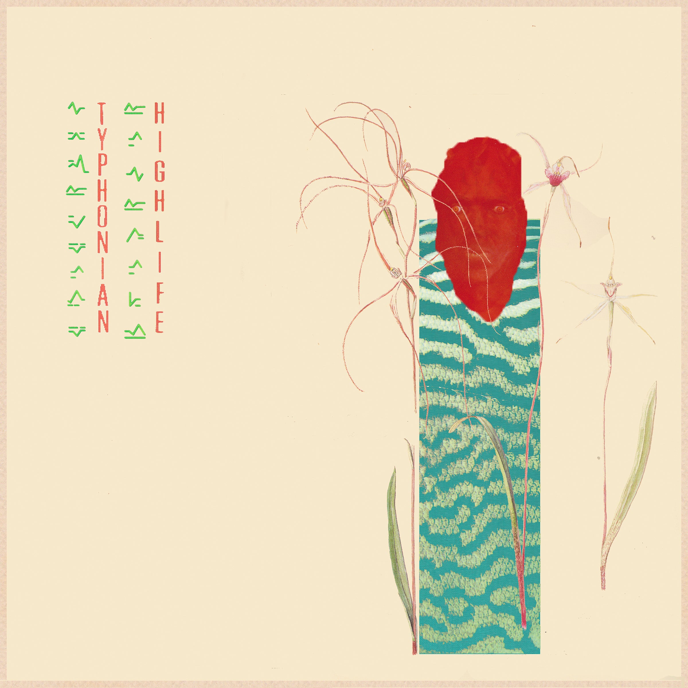 Typhonian Highlife - The World Of Shells | Vinyl