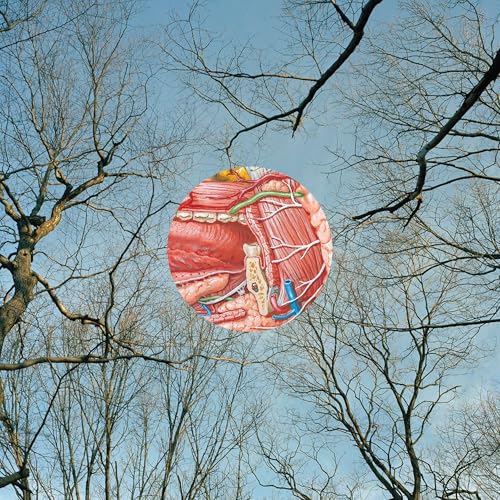 They Might Be Giants | Glean | Vinyl