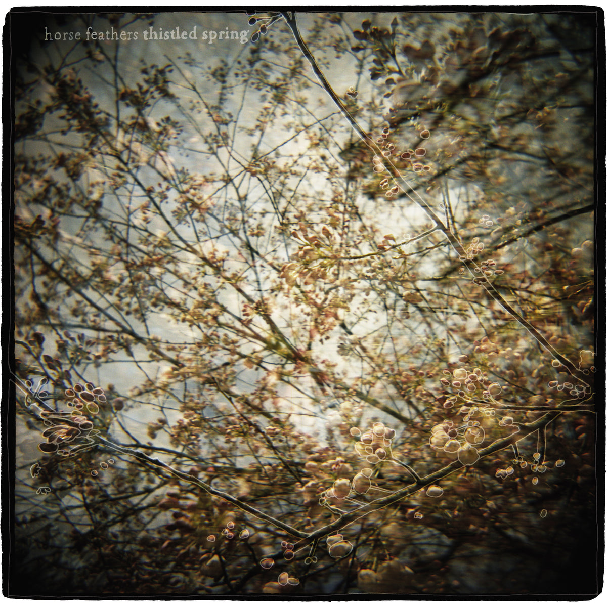 Horse Feathers - Thistled Spring LP | Vinyl