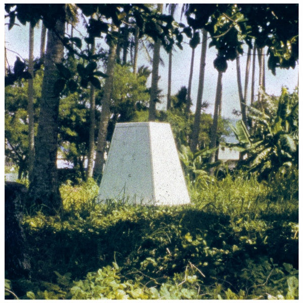 HUGO R.A. PARIS - Threaded Habitat | Vinyl