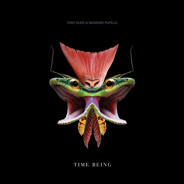 TONY BUCK & MASSIMO PUPILLO - Time Being | Vinyl